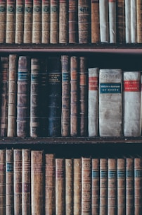 assorted books in brown wooden bookshelf