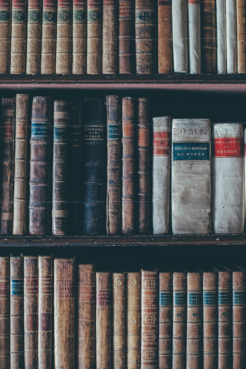 Libri assortiti in libreria in legno marrone