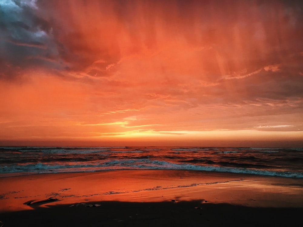 body of water near shore