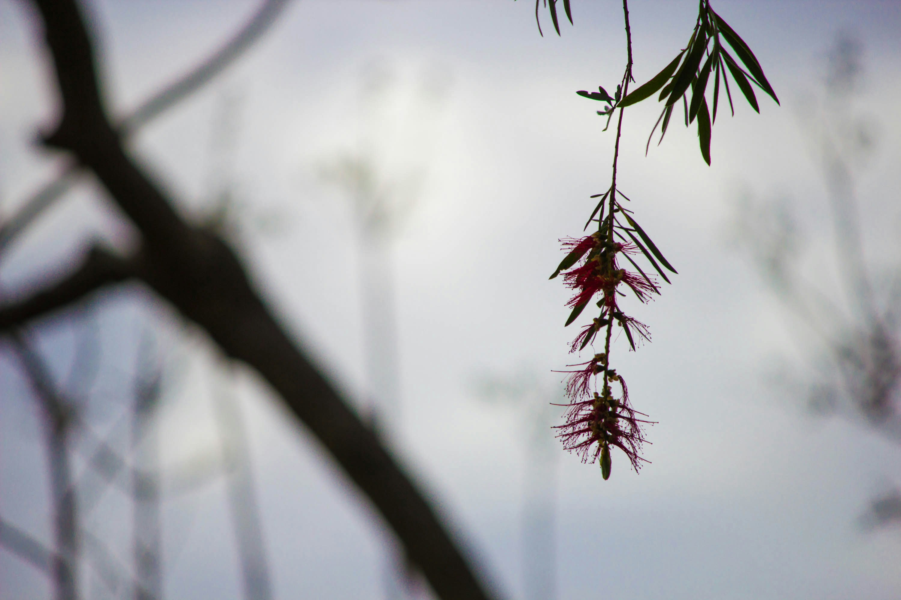 Free Unsplash photo from Earl Patterson