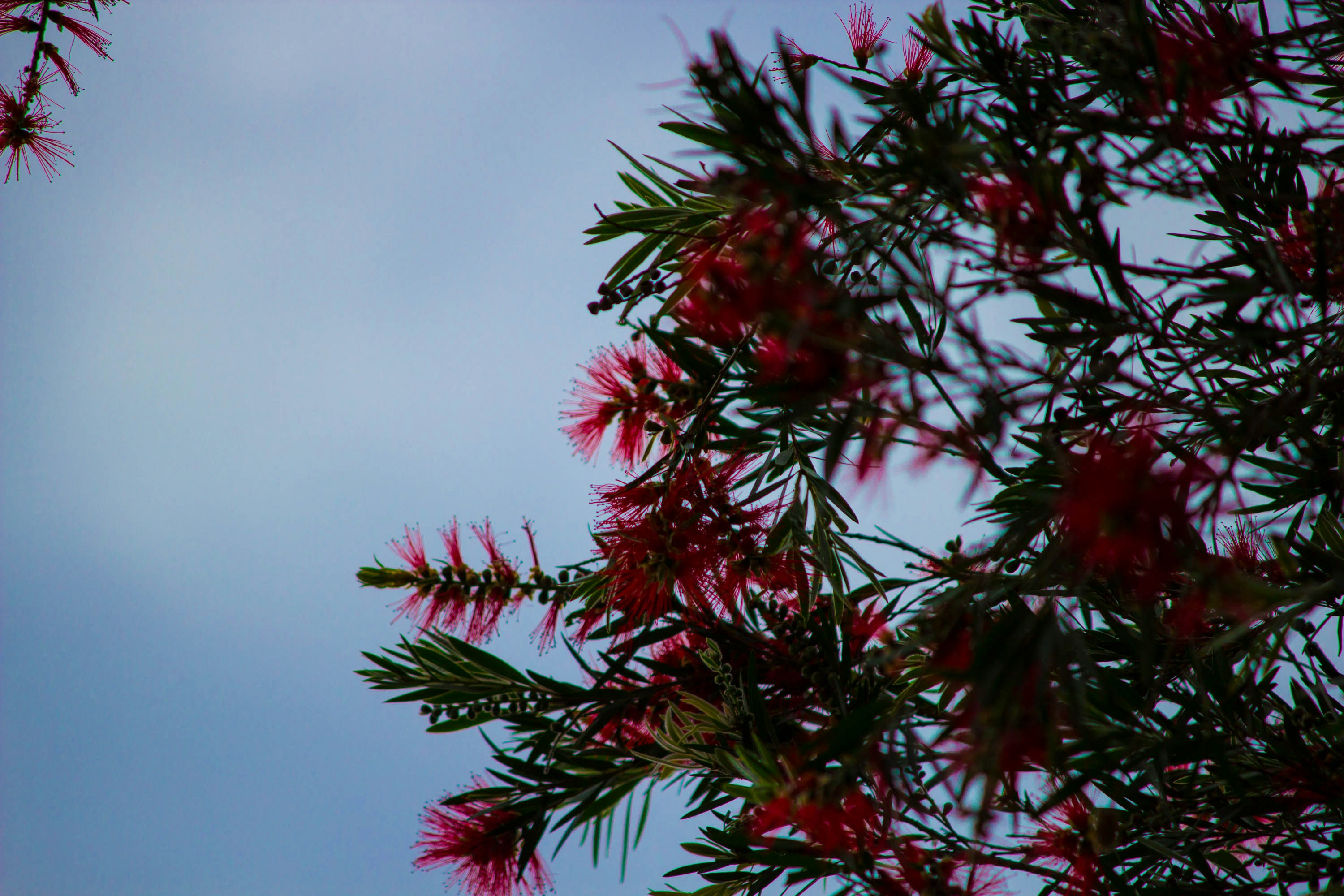 Free Unsplash photo from Earl Patterson