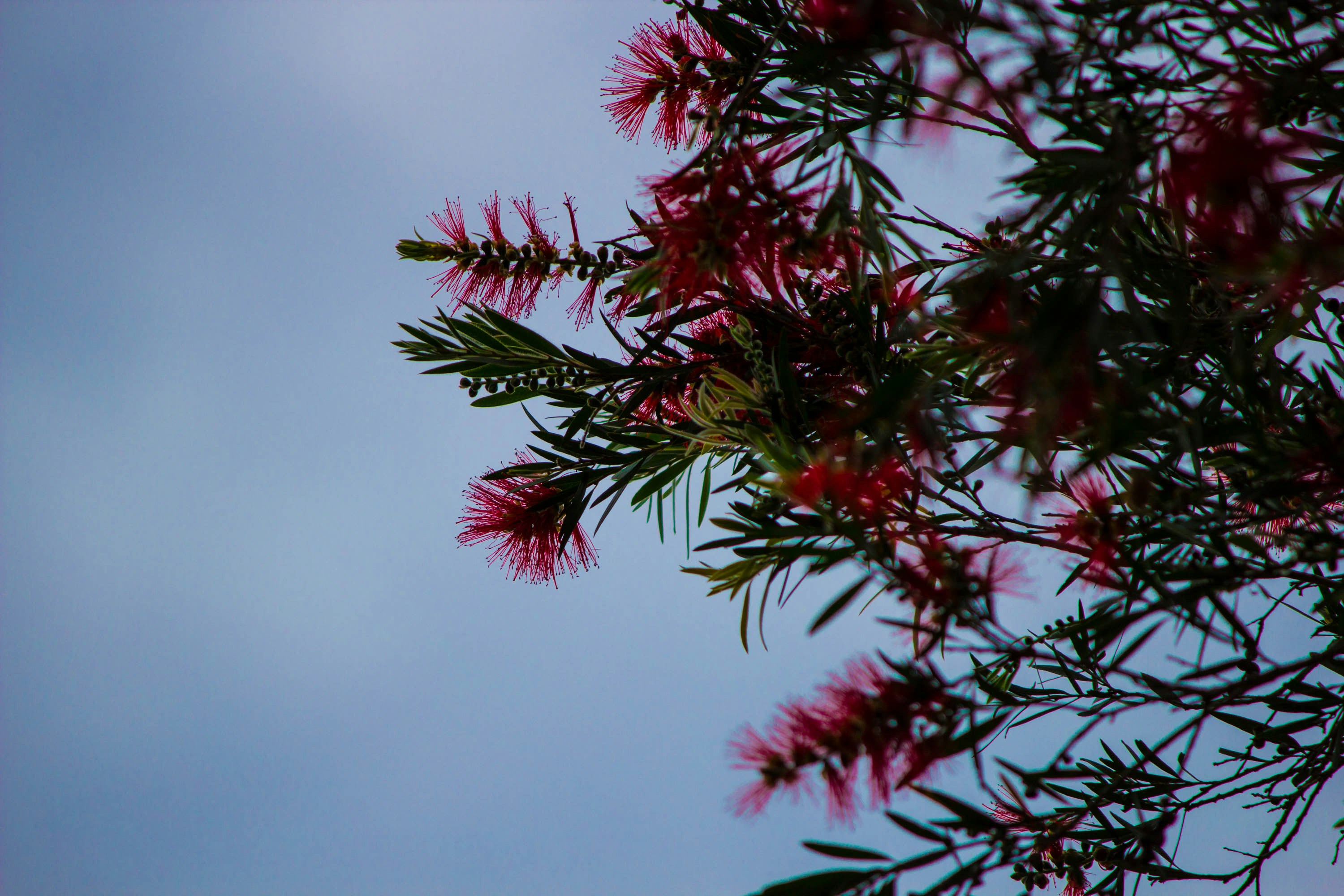 Free Unsplash photo from Earl Patterson