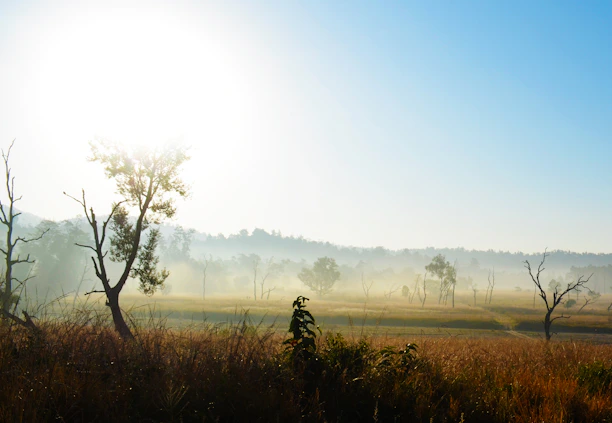 A serene foggy morning view of the Gorthan farmhouse plots surrounded by lush greenery.