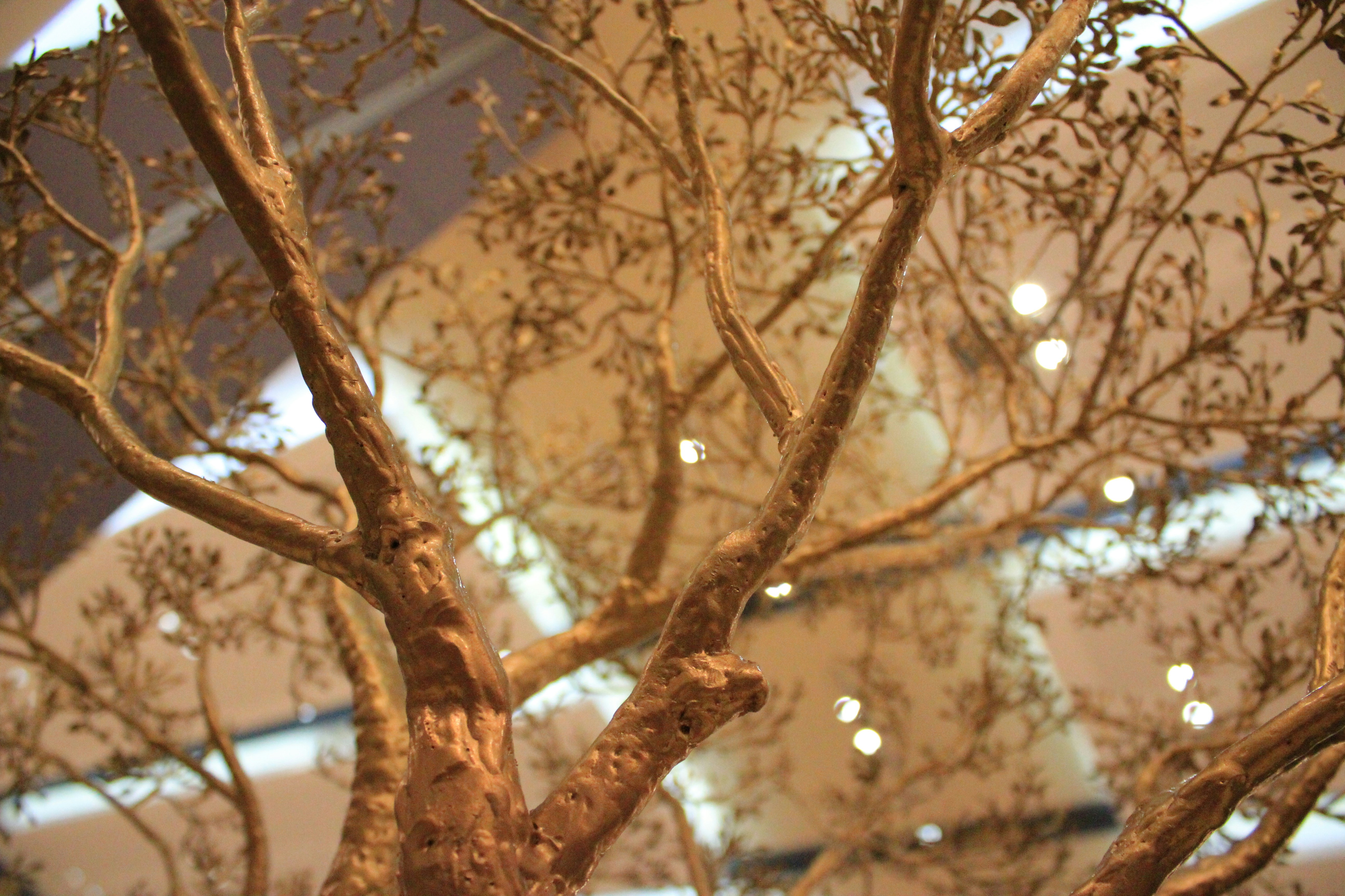 Free Unsplash photo from Pauline Tayag