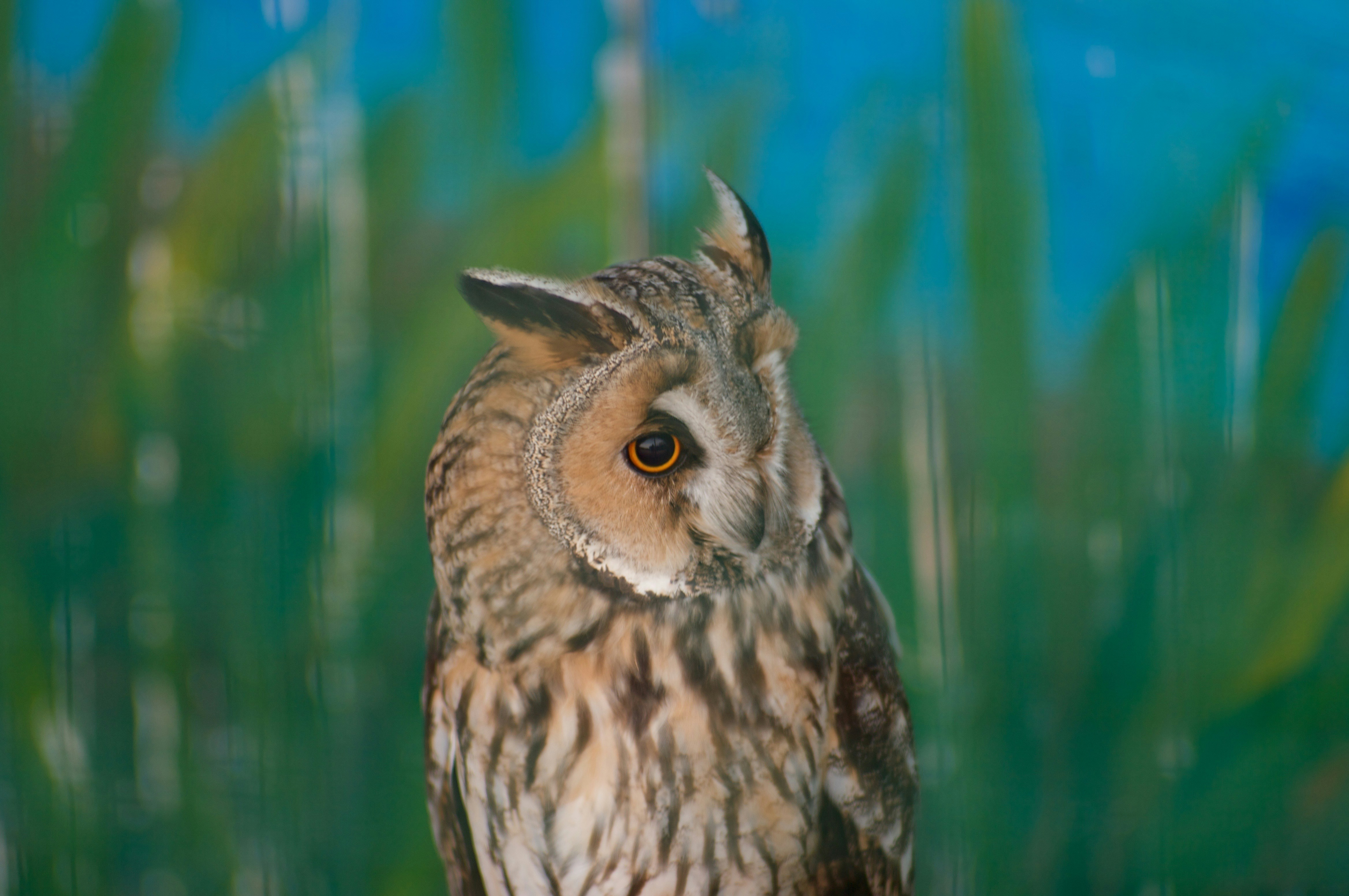 Free Unsplash photo from Andrey Nikiforov