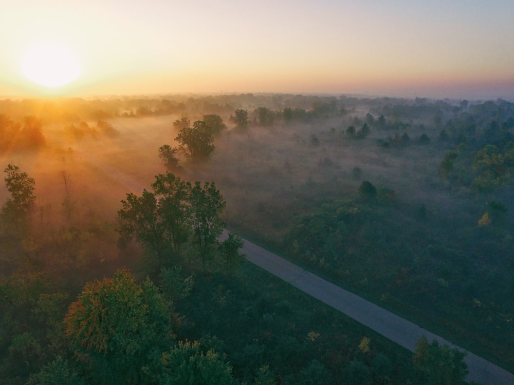 aerial photography of concrete road near trees at daytime