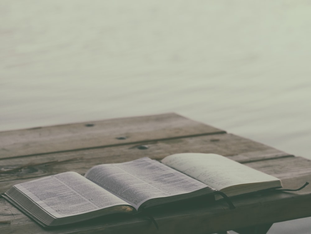 Deux livres sur le banc