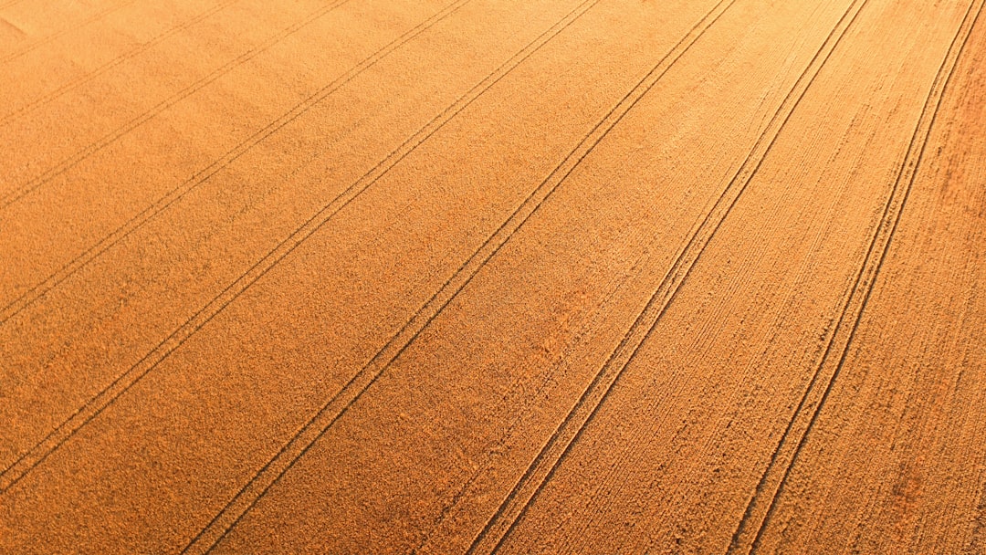 closeup photo of brown textile