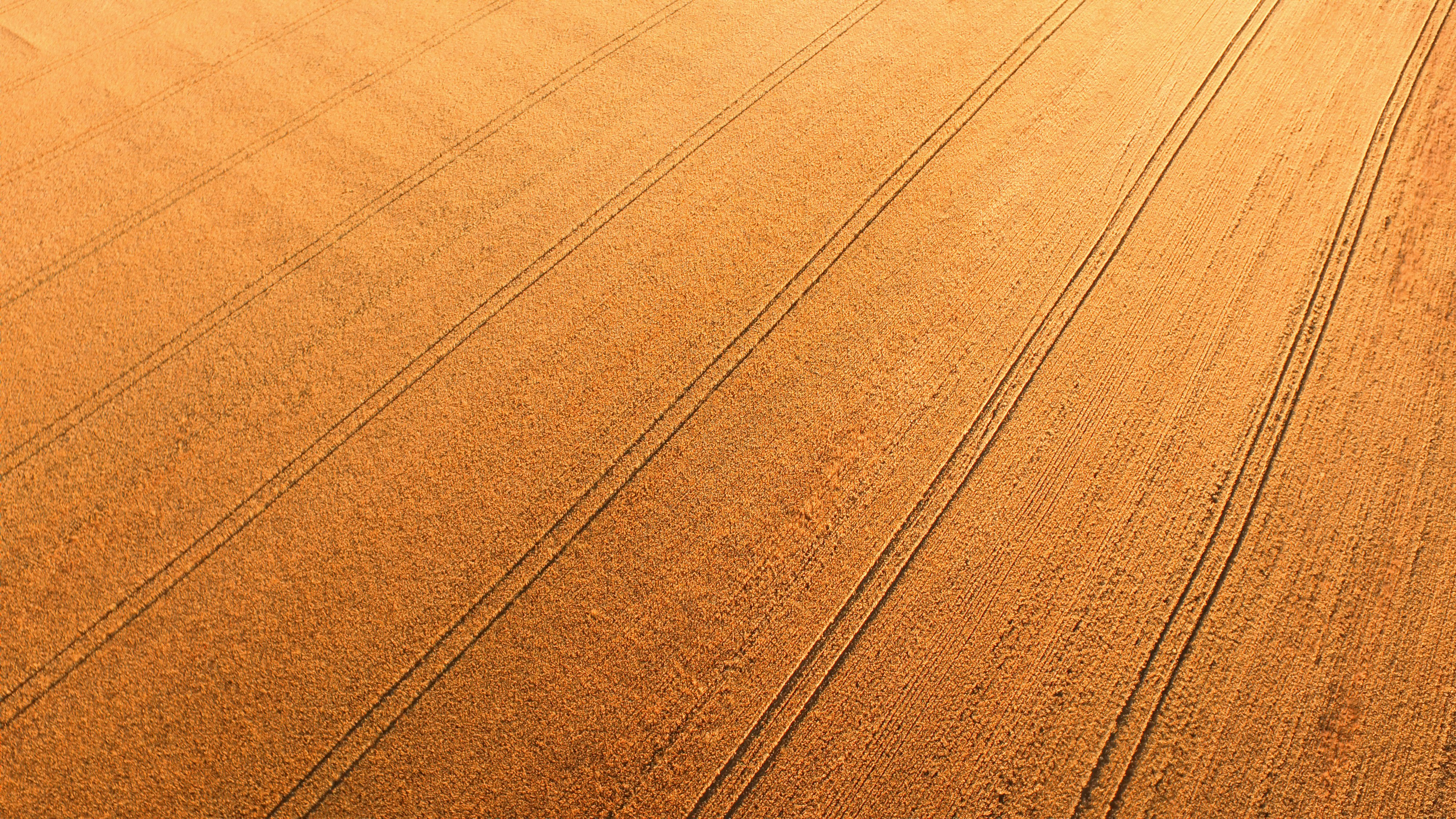 closeup photo of brown textile