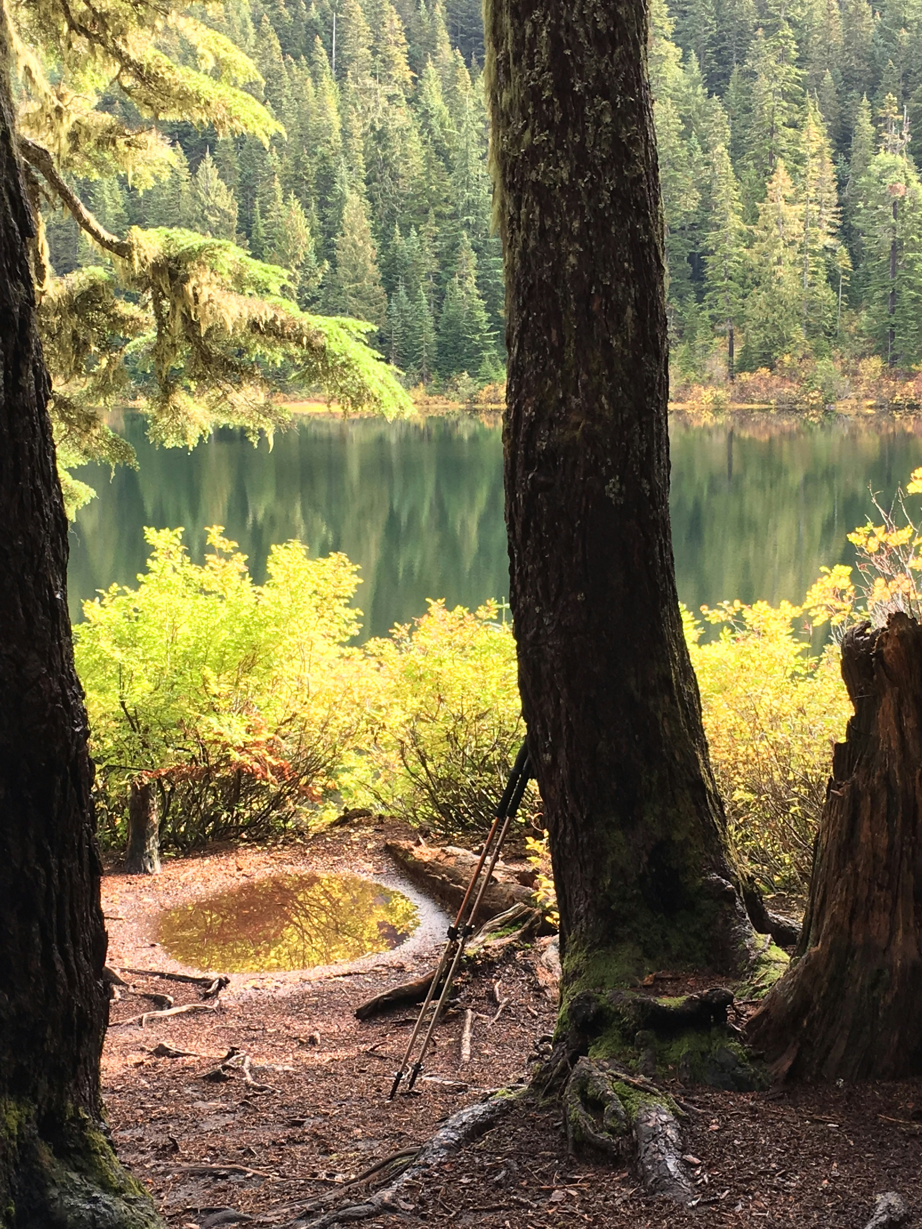 Free Unsplash photo from David Teachout