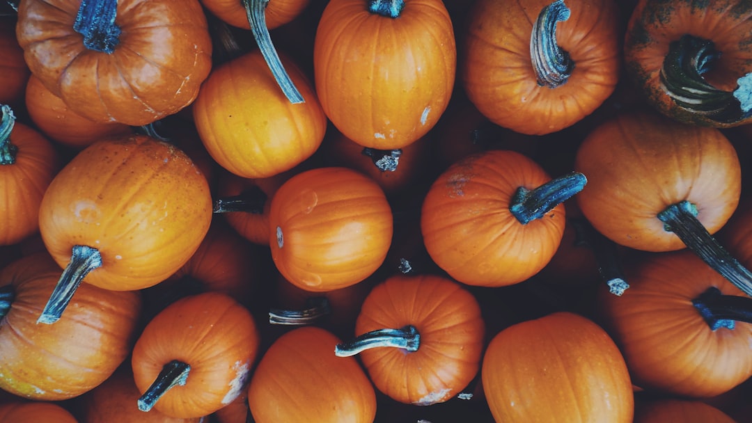 orange pumpkin lot, Yellow Halloween pumpkins