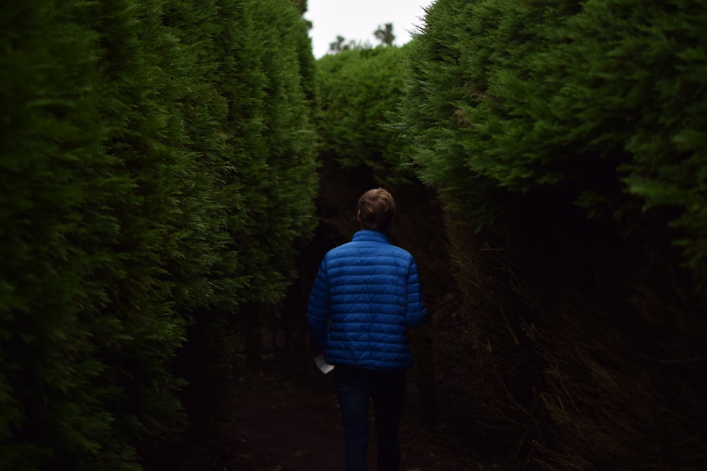 man walking near tall trees