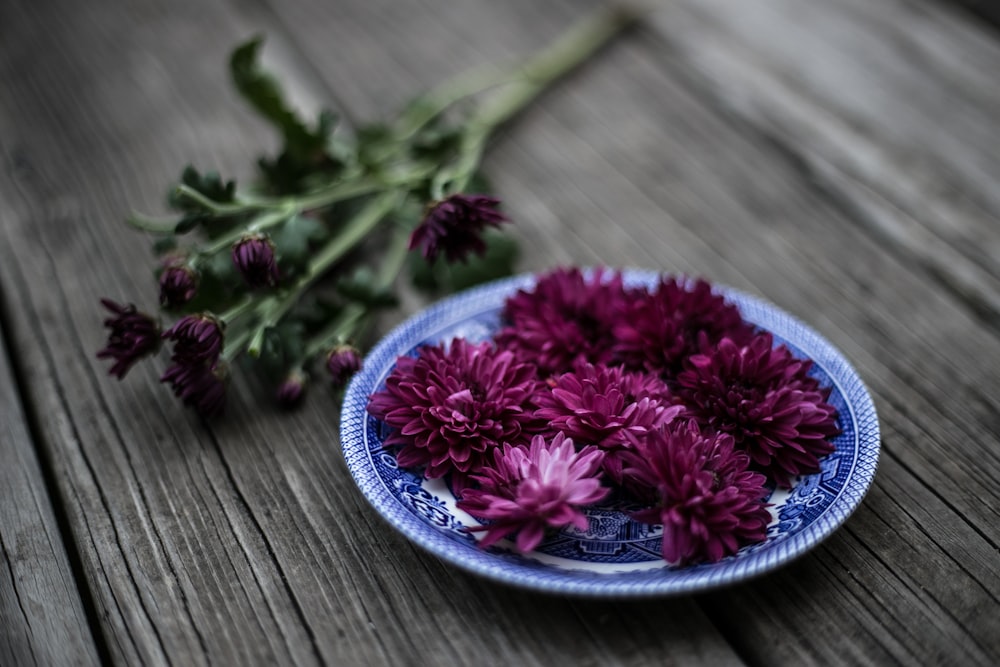 purple flowers on blue plate