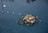 A candle surrounded by a floral arrangement of various flowers and leaves gently floats on the surface of a body of water. Several small candles also float in the background, casting a warm glow. The reflections in the water create a tranquil atmosphere.
