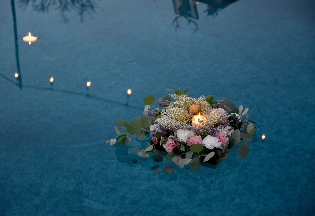 pink and white flowers on body of water