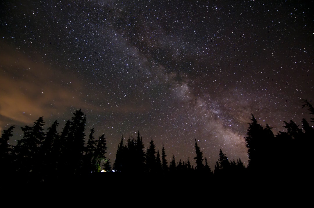 milky way at night