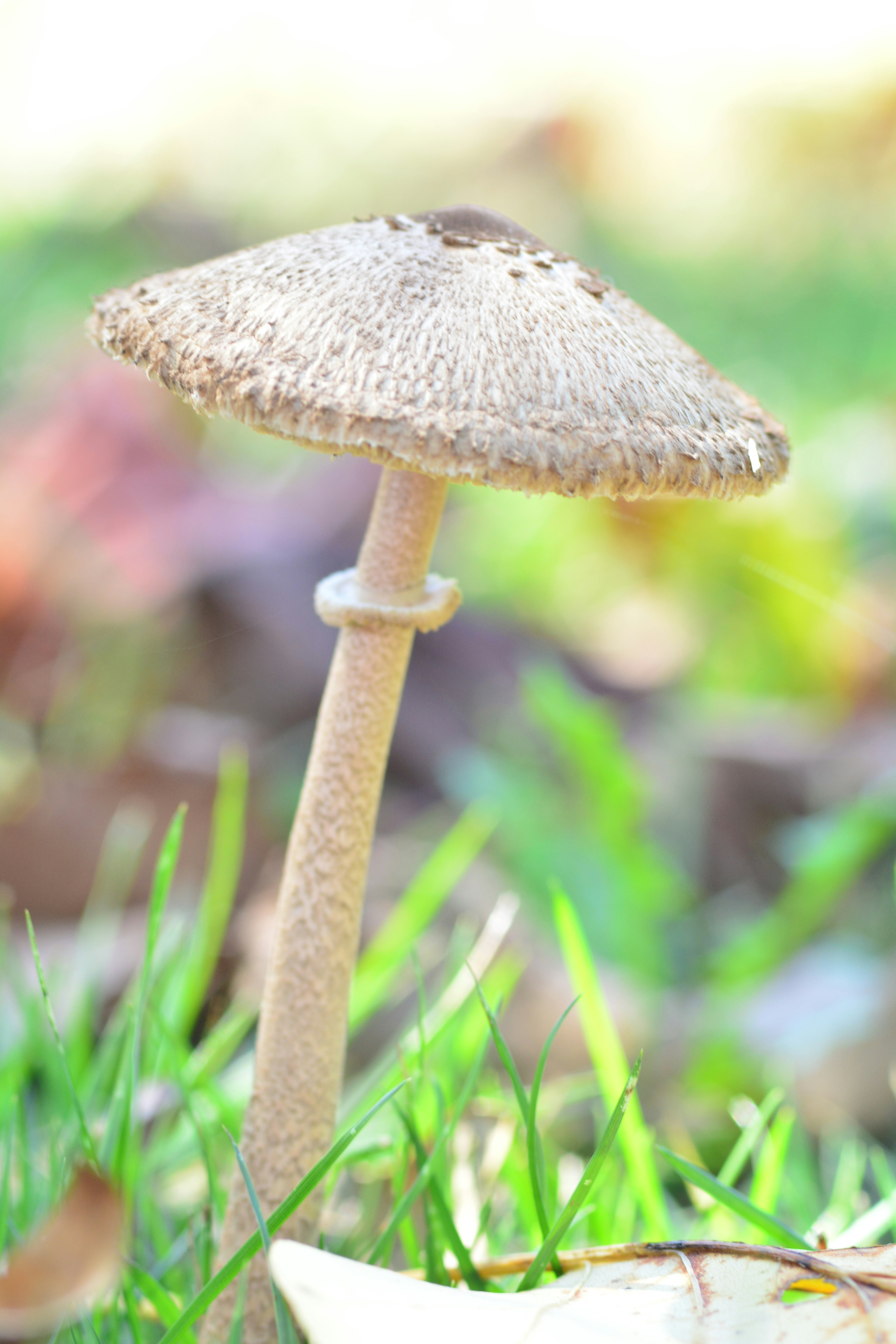 Free Unsplash photo from john bell