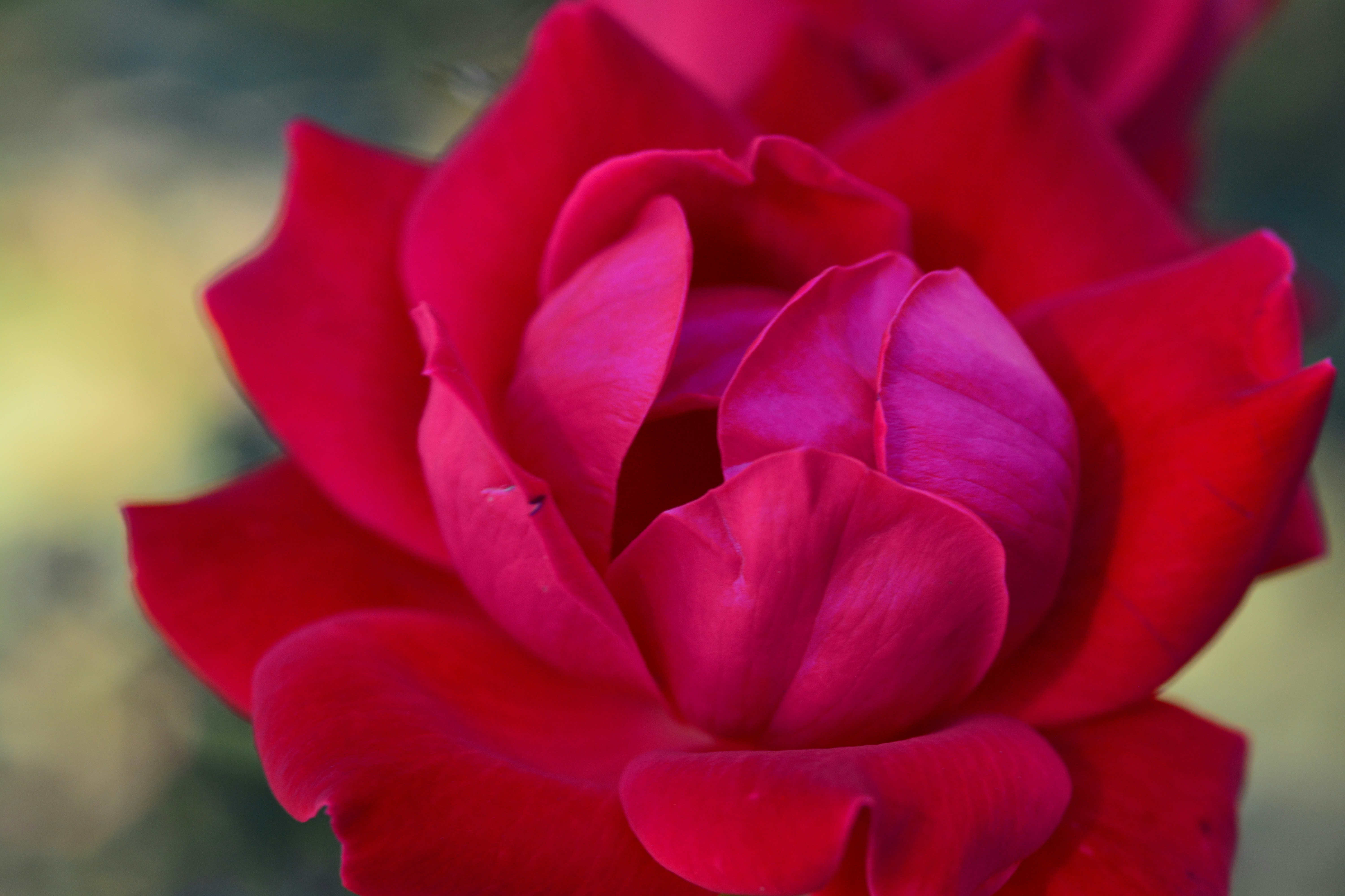 Free Unsplash photo from john bell