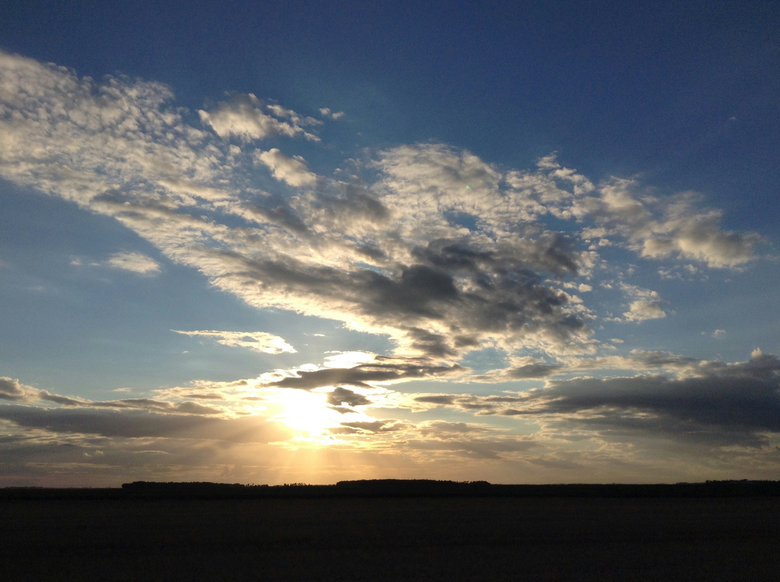 Free Unsplash photo from Adrian Waldner