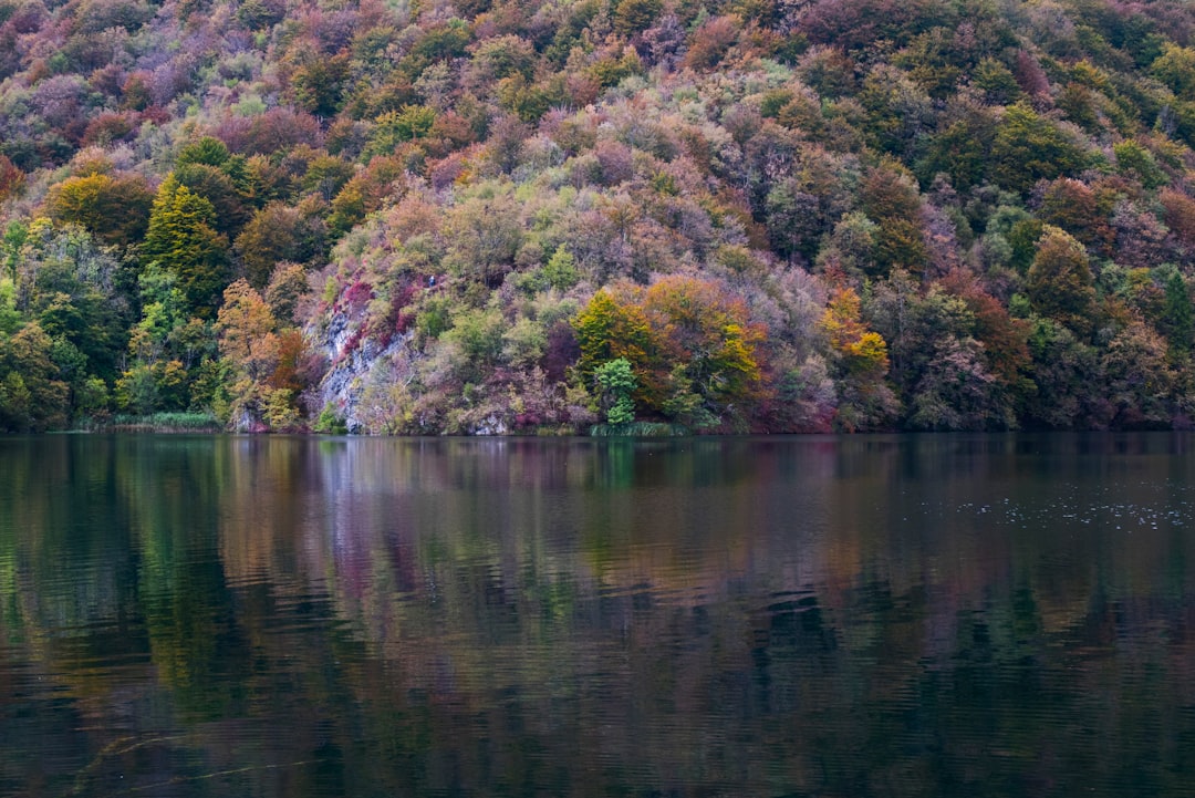 travelers stories about Lake in Plitvice Lakes National Park, Croatia