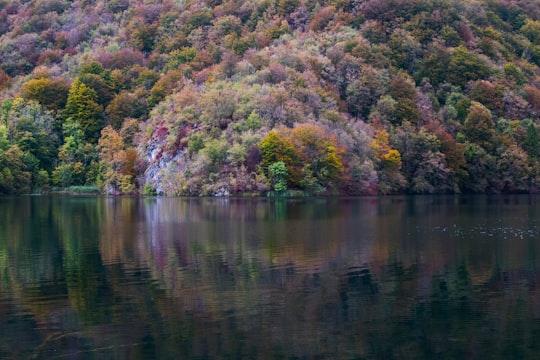 green trees near body of water in Plitvice Lakes National Park Croatia