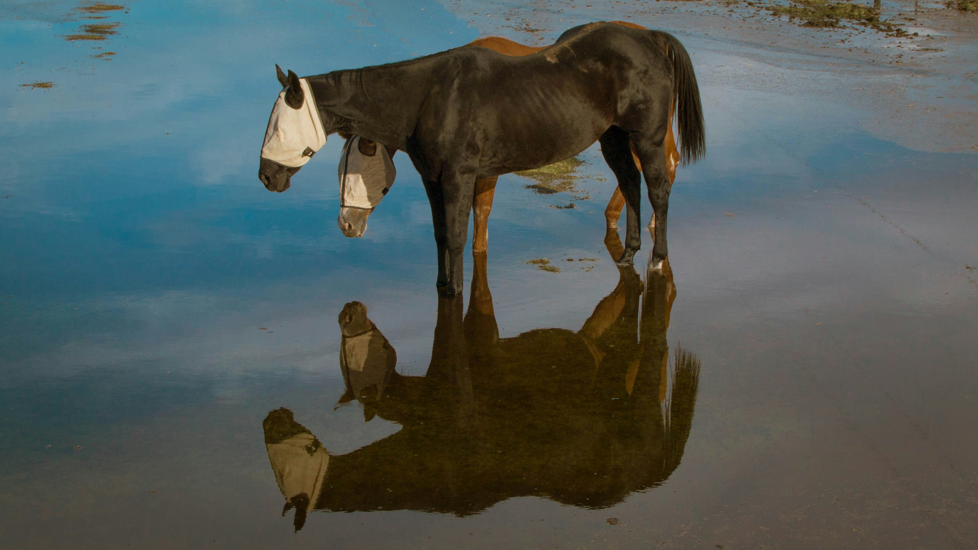 Free Unsplash photo from Matty Barnes