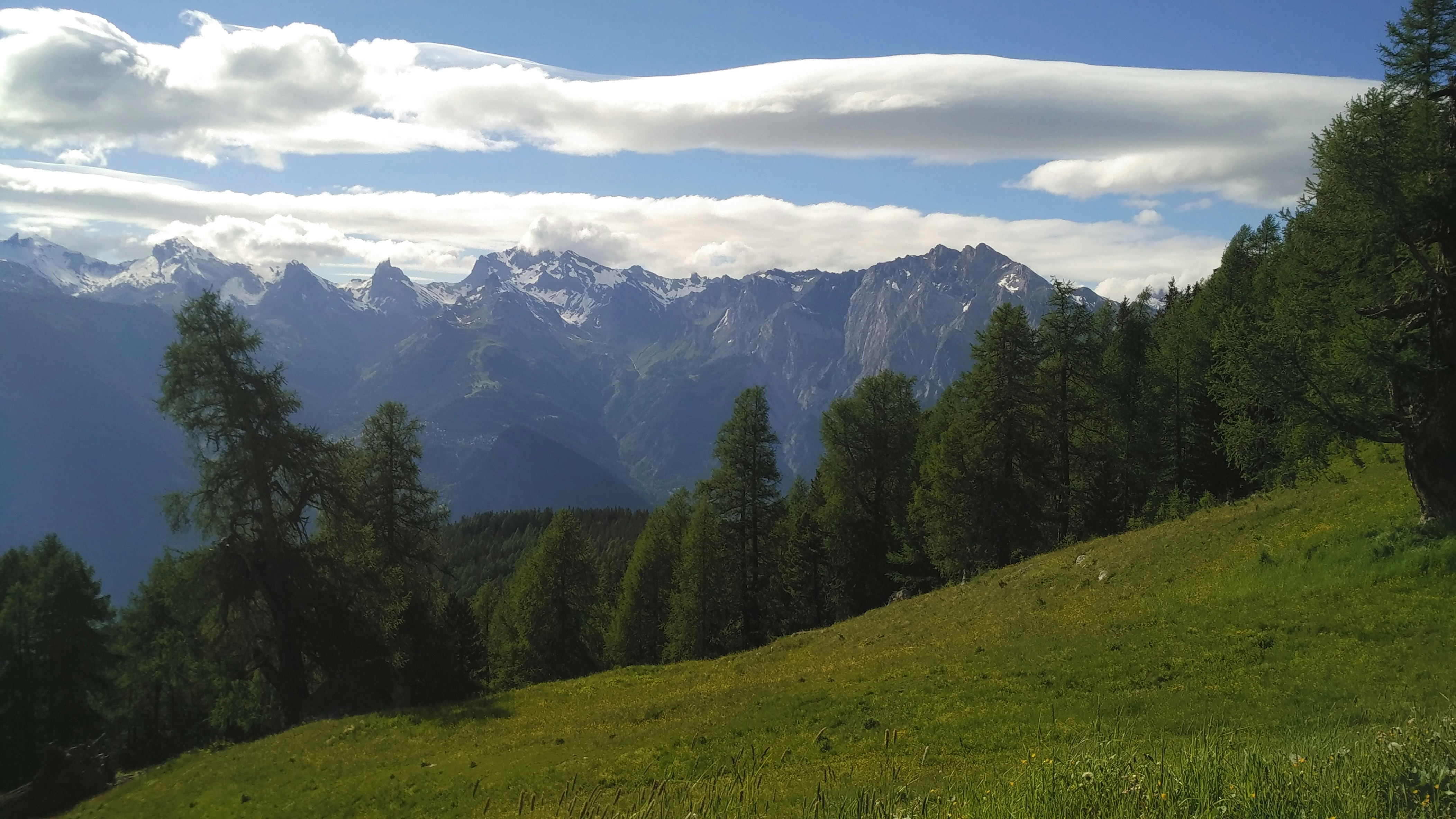 Free Unsplash photo from Thomas Desmet