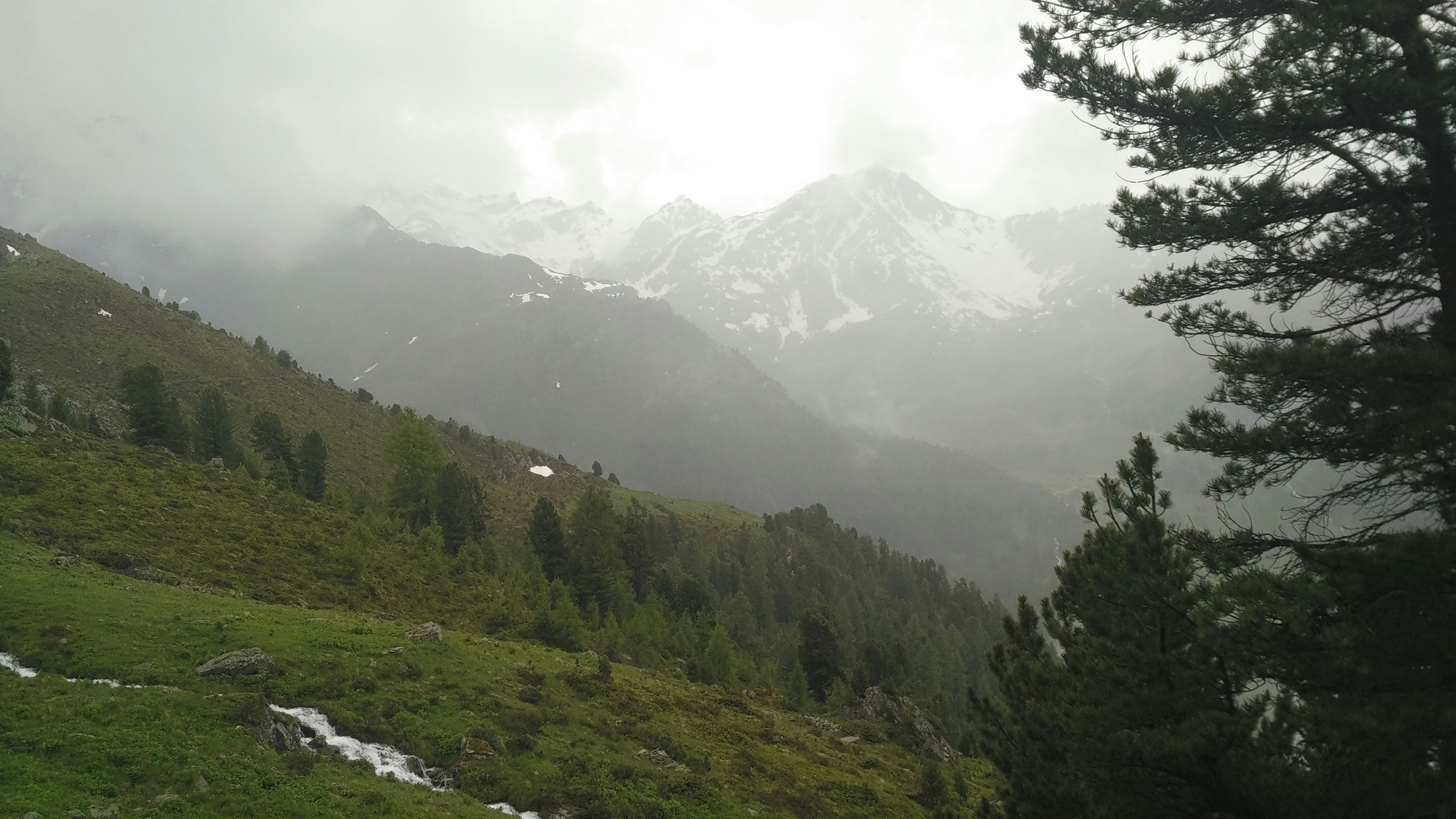 Free Unsplash photo from Thomas Desmet