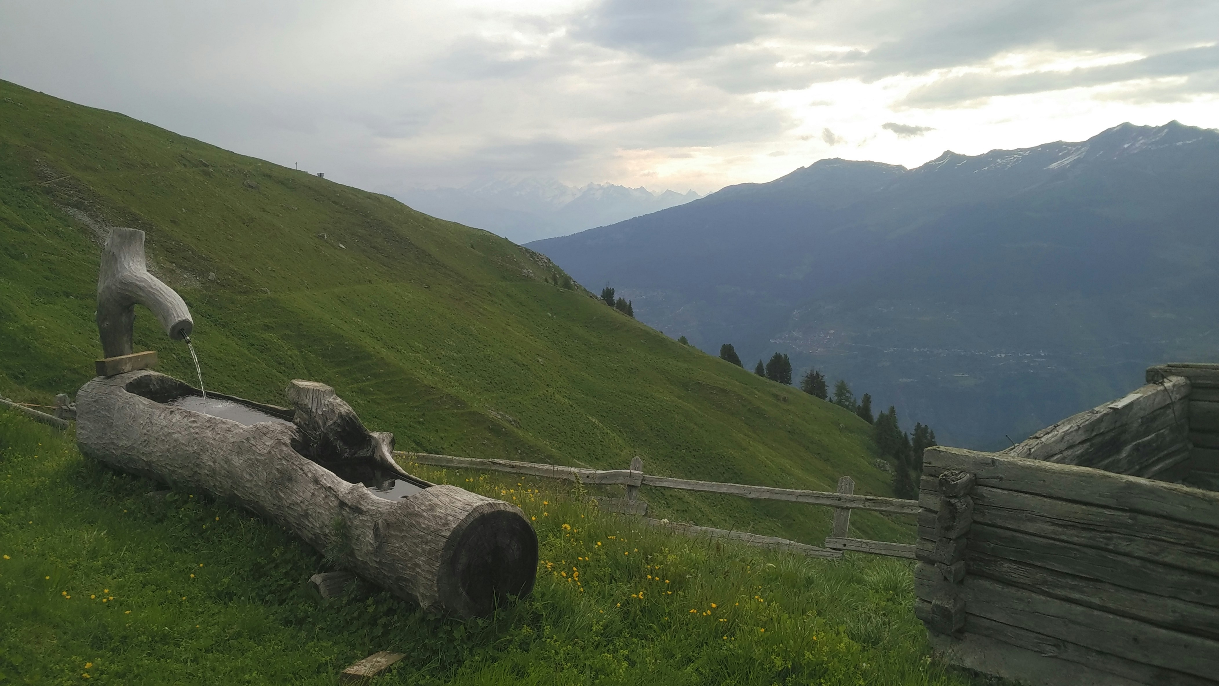 Free Unsplash photo from Thomas Desmet