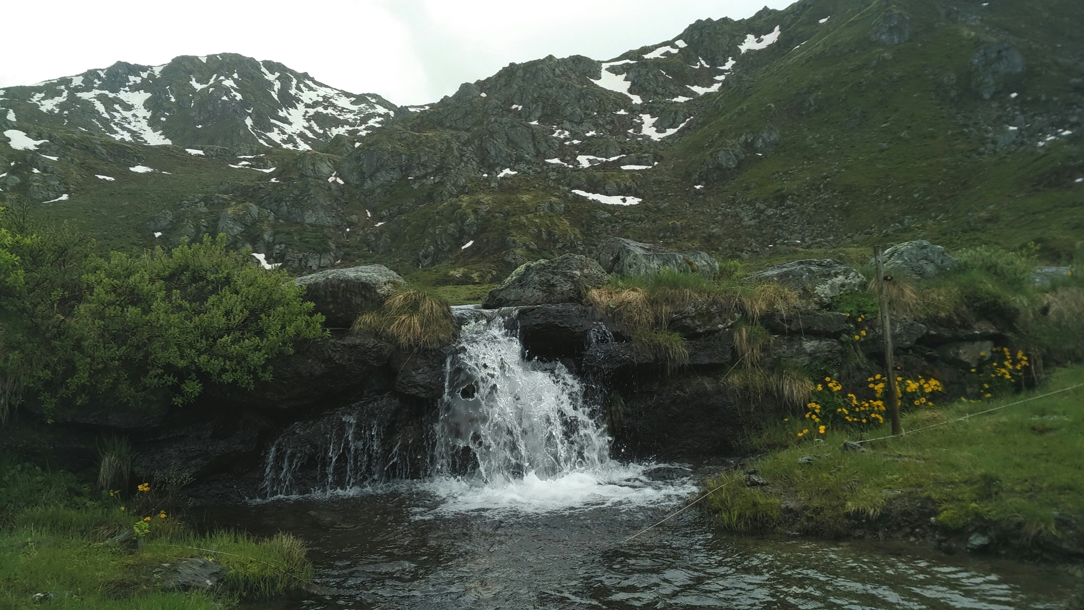 Free Unsplash photo from Thomas Desmet