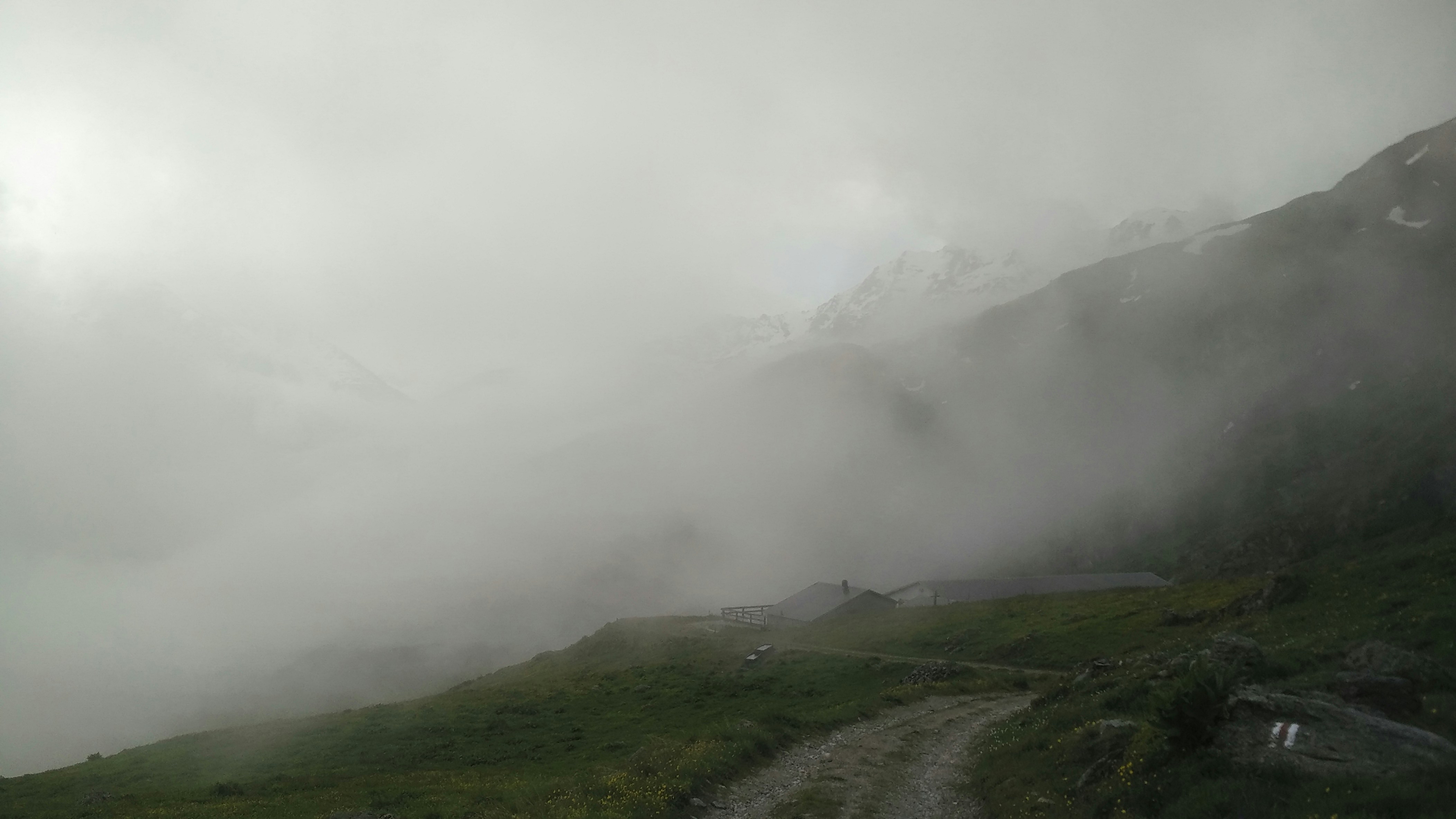 Free Unsplash photo from Thomas Desmet