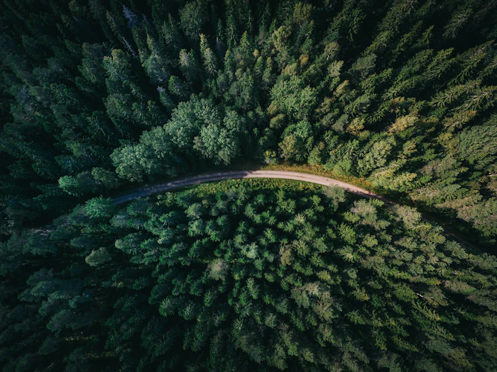 Medio ambiente