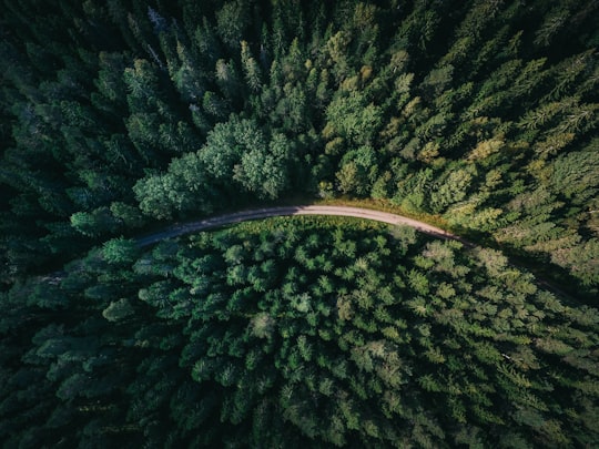 aerial shot of road surrounded by green trees in Gävle Sweden