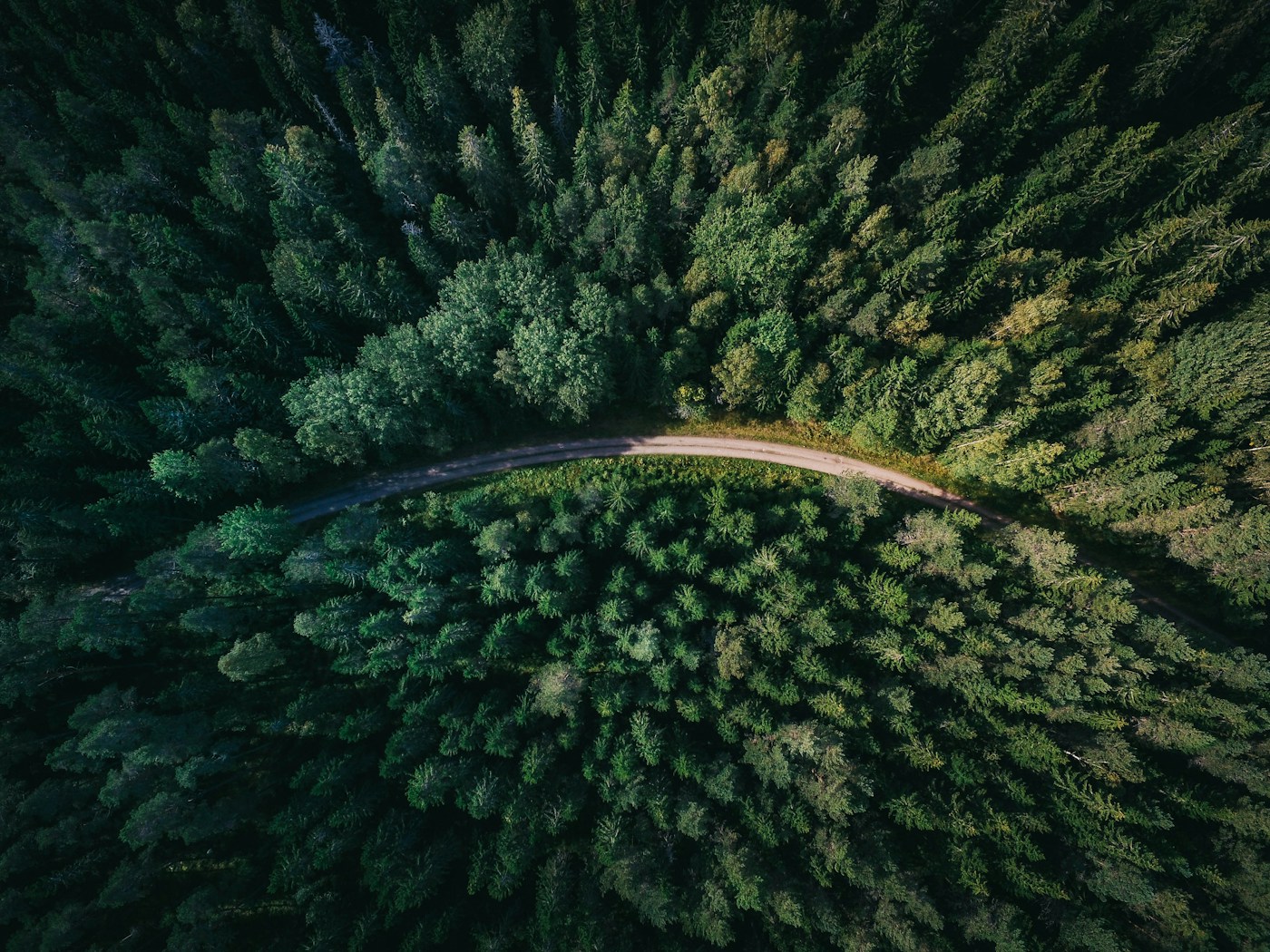 Schwarzwald
