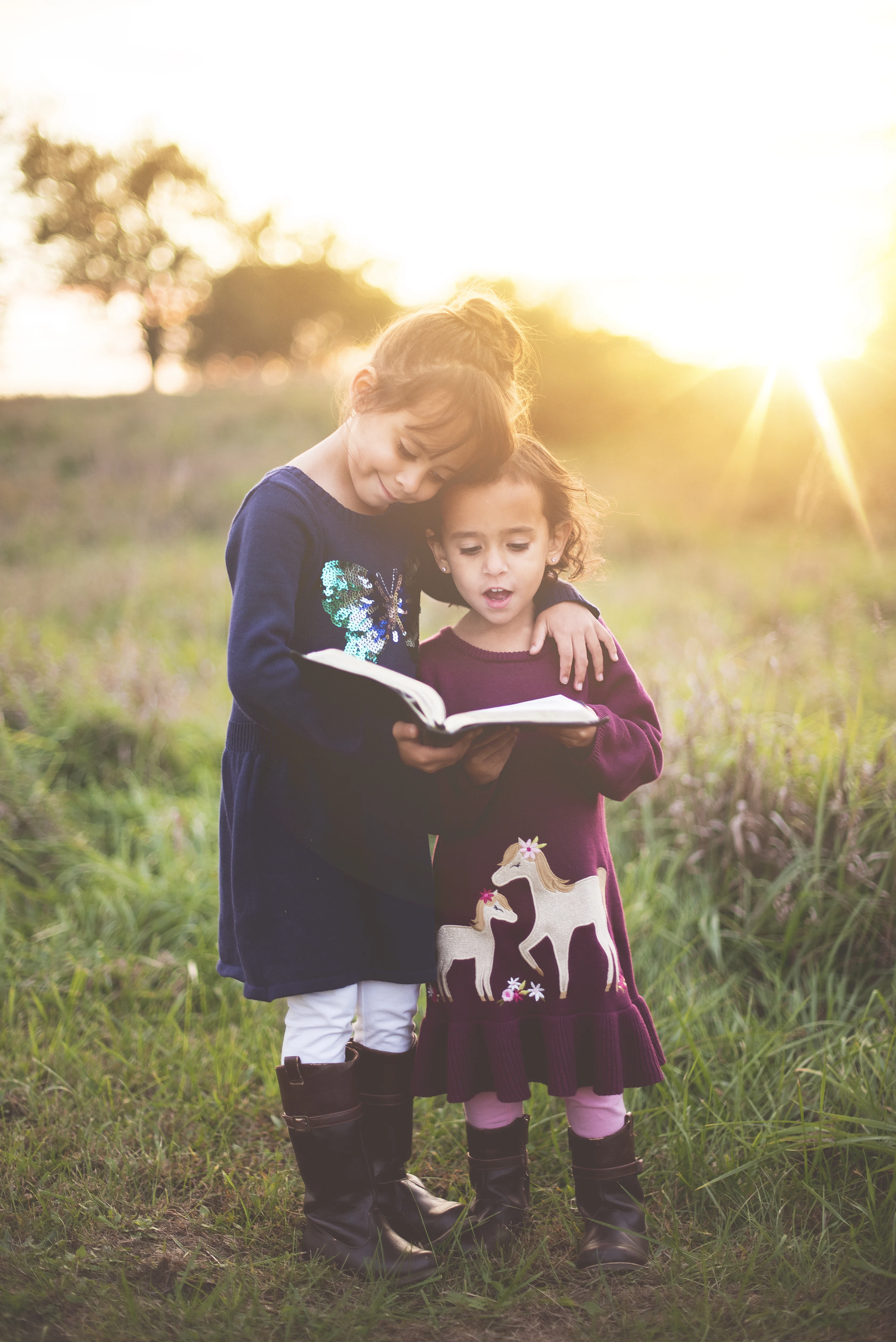 Two children reading together in long grass at golden hour