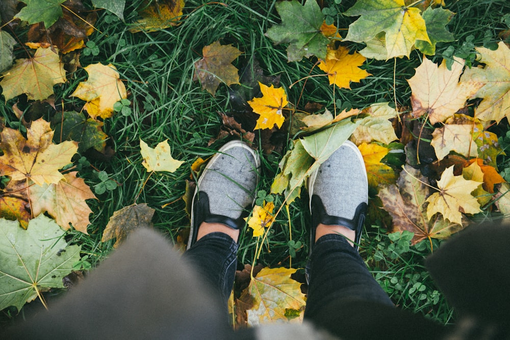 personne debout sur l’herbe verte