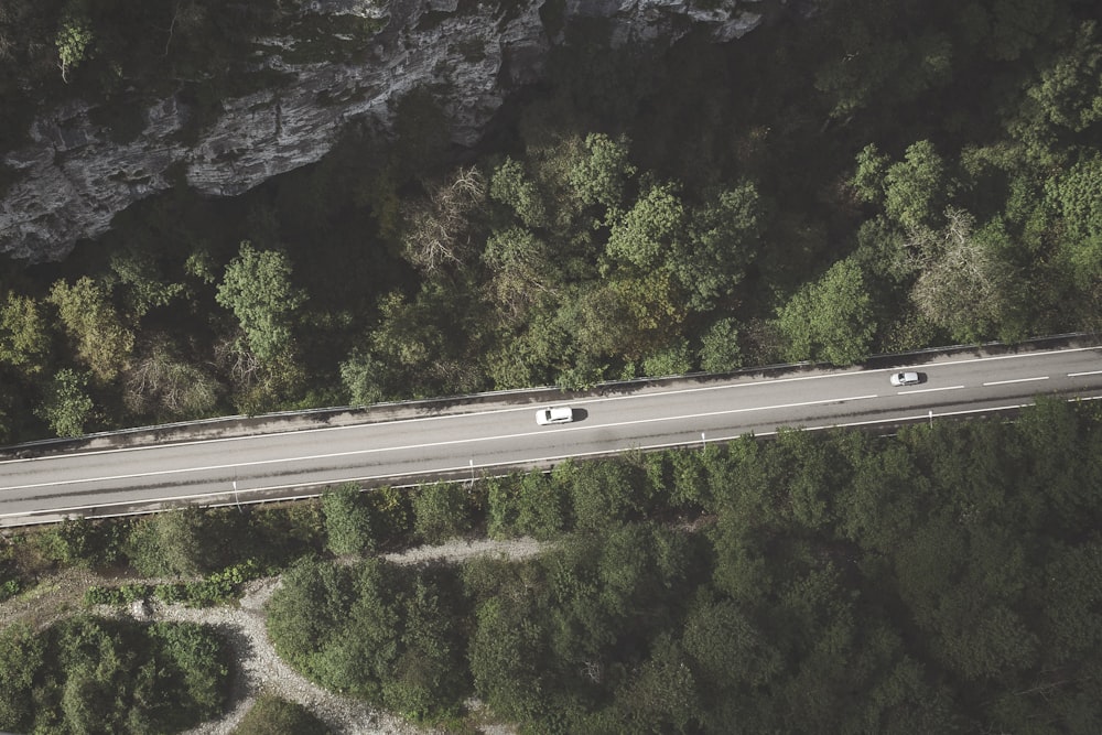 Foto aérea de concreto cinza no meio da floresta com dois carros