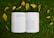 opened book on grass during daytime