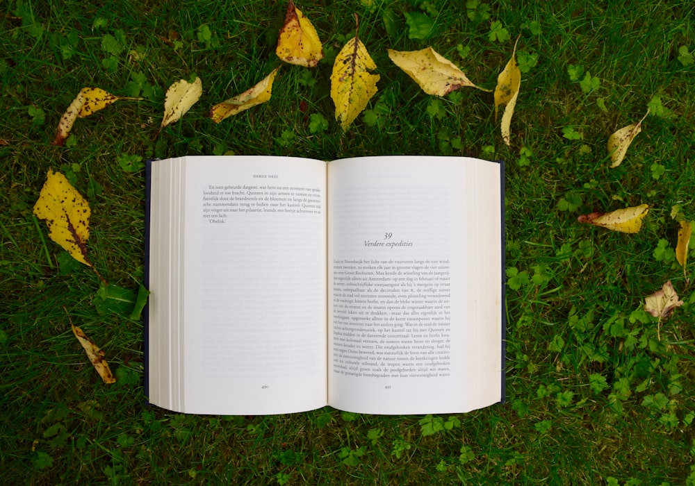 livre ouvert sur l’herbe pendant la journée