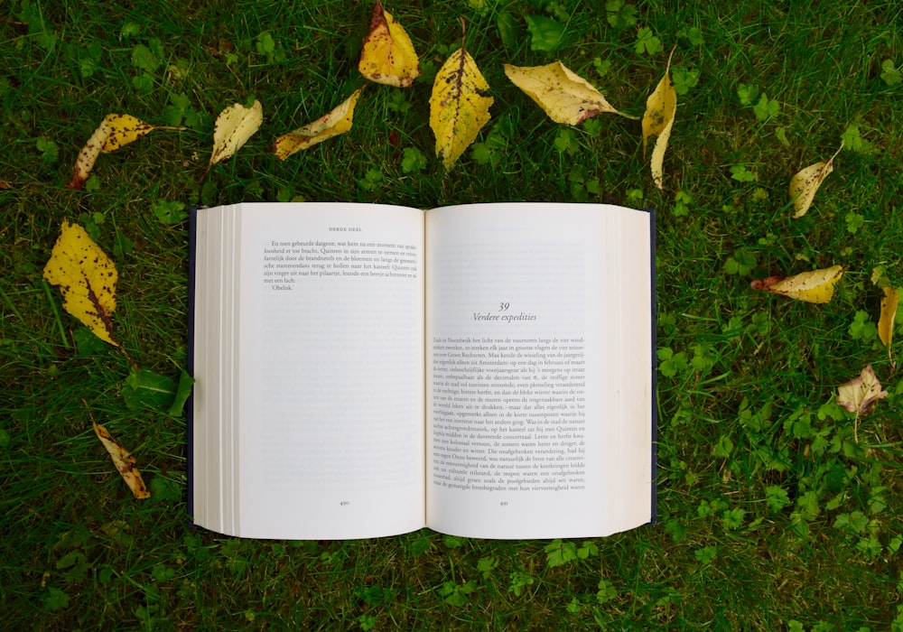 opened book on grass during daytime