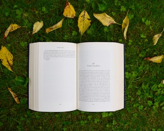 opened book on grass during daytime by Annelies Geneyn (@anneliesgeneyn)