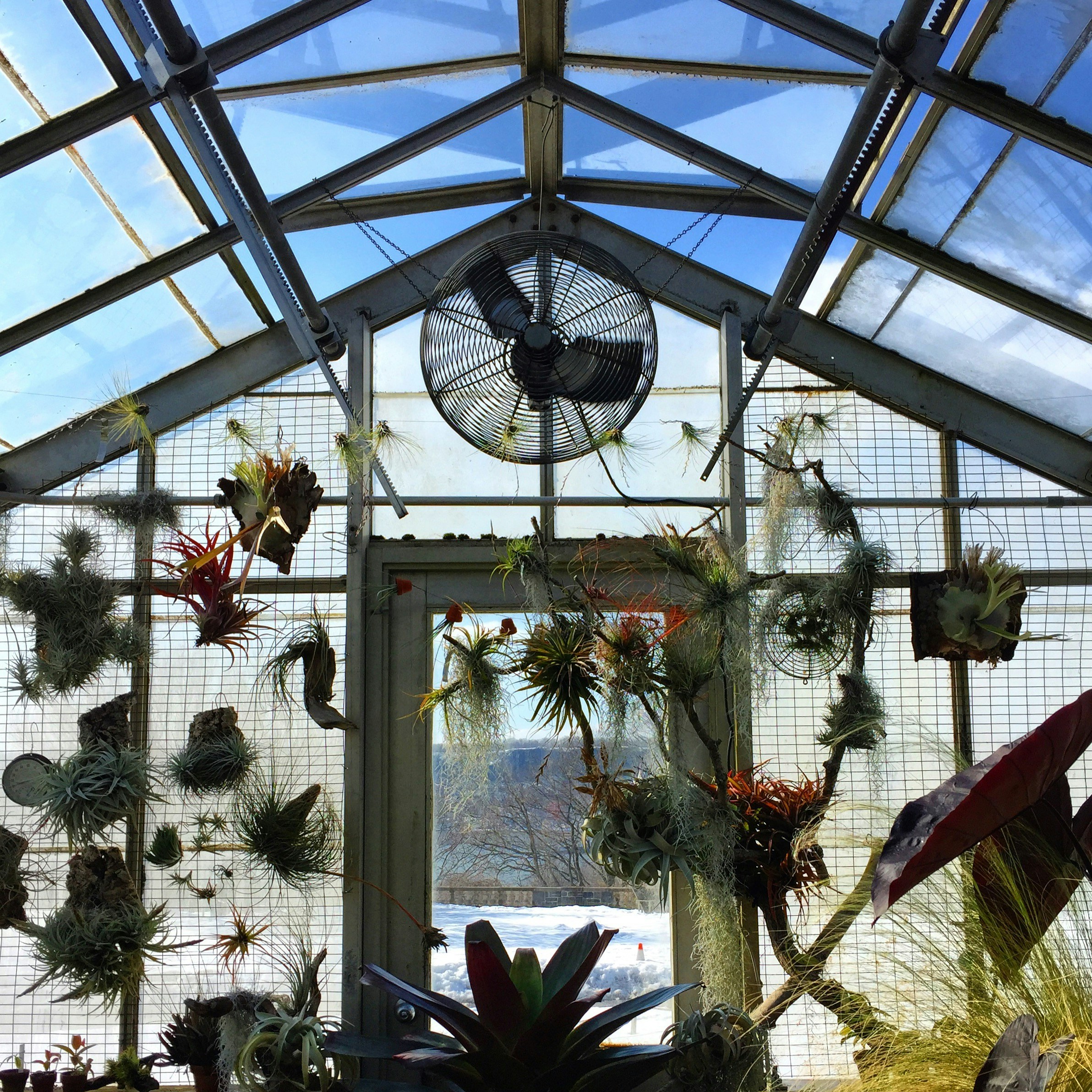 Free Wave Hill Public Gardens Image On Unsplash