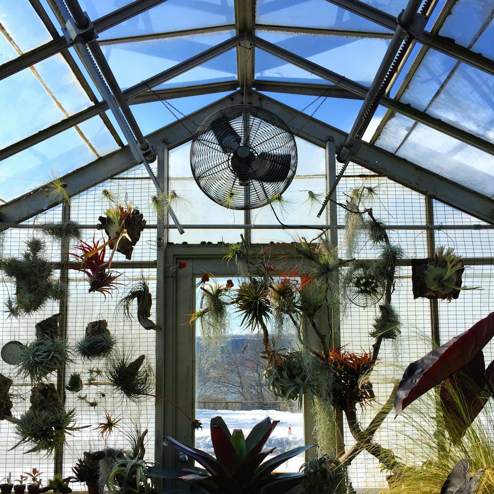 Free Wave Hill Public Gardens Image On Unsplash