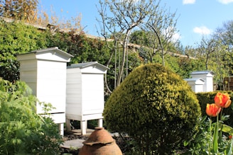 A picturesque view of a beehive surrounded by blooming flowers in Neitersen.