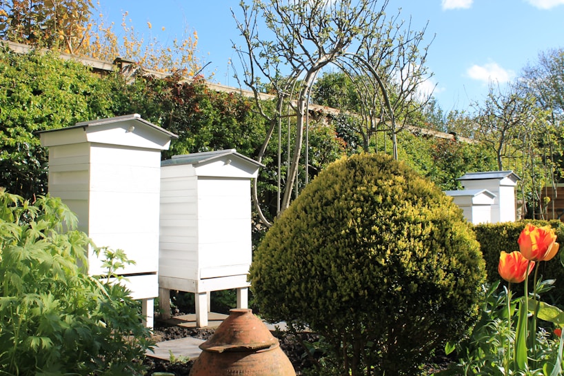 Several white beehives are surrounded by lush greenery and vibrant flowers. A perfectly trimmed bush sits nearby, with bright orange tulips in the foreground. The background features a clear blue sky with scattered clouds.