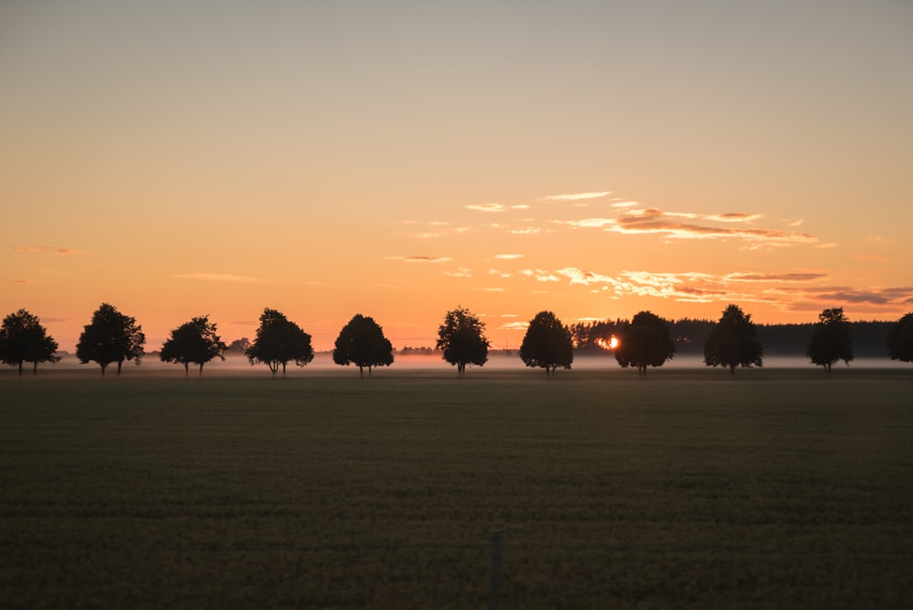 photo de silhouette d’arbres et de champ pendant l’aube
