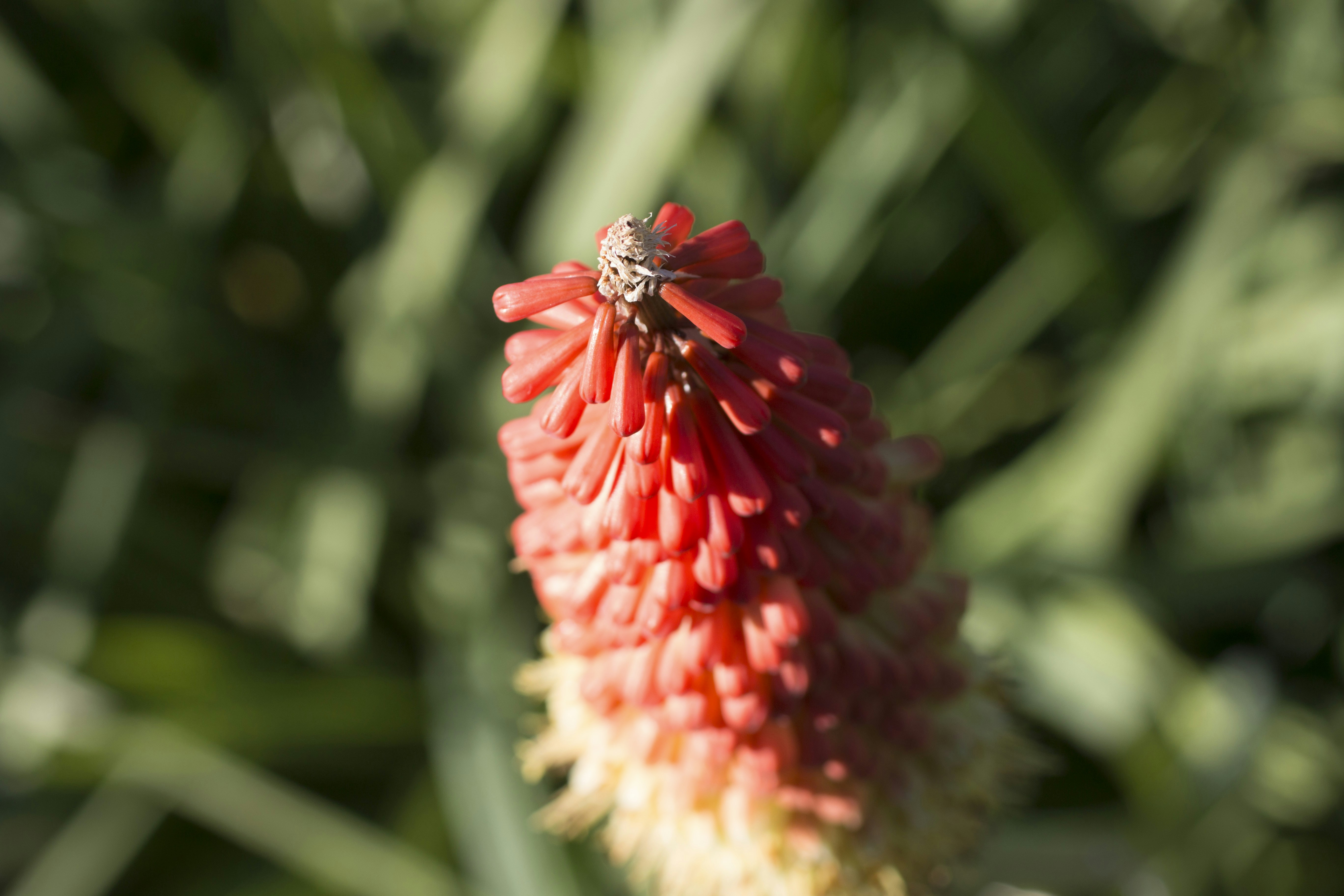 Free Unsplash photo from Elin Lundqvist