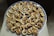 A round tray filled with small pastries, each topped with a piece of walnut. The pastries have a golden-brown crust and appear to include a dark filling, possibly a fruit or chocolate. The tray is placed on a light-colored surface.