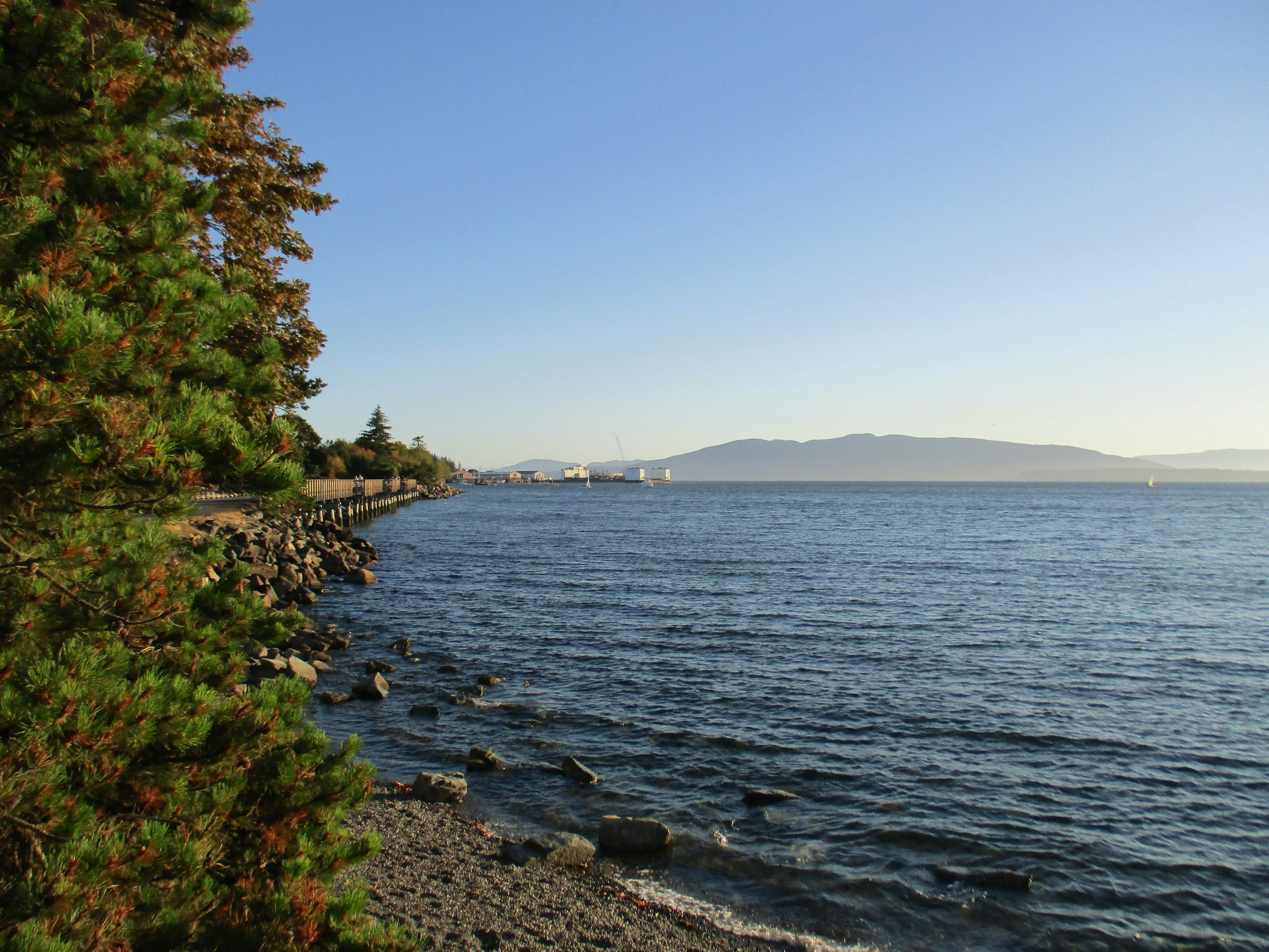 Free Unsplash photo from Erik Juarez