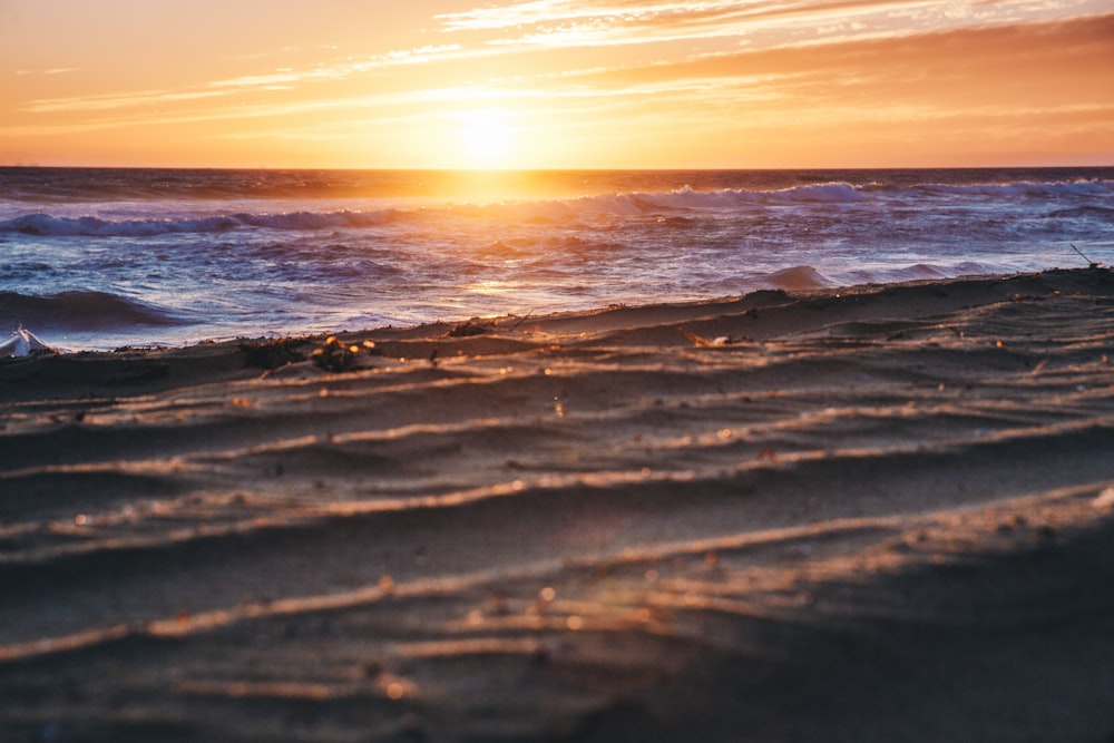 low-angle photo of seashore during golden hour